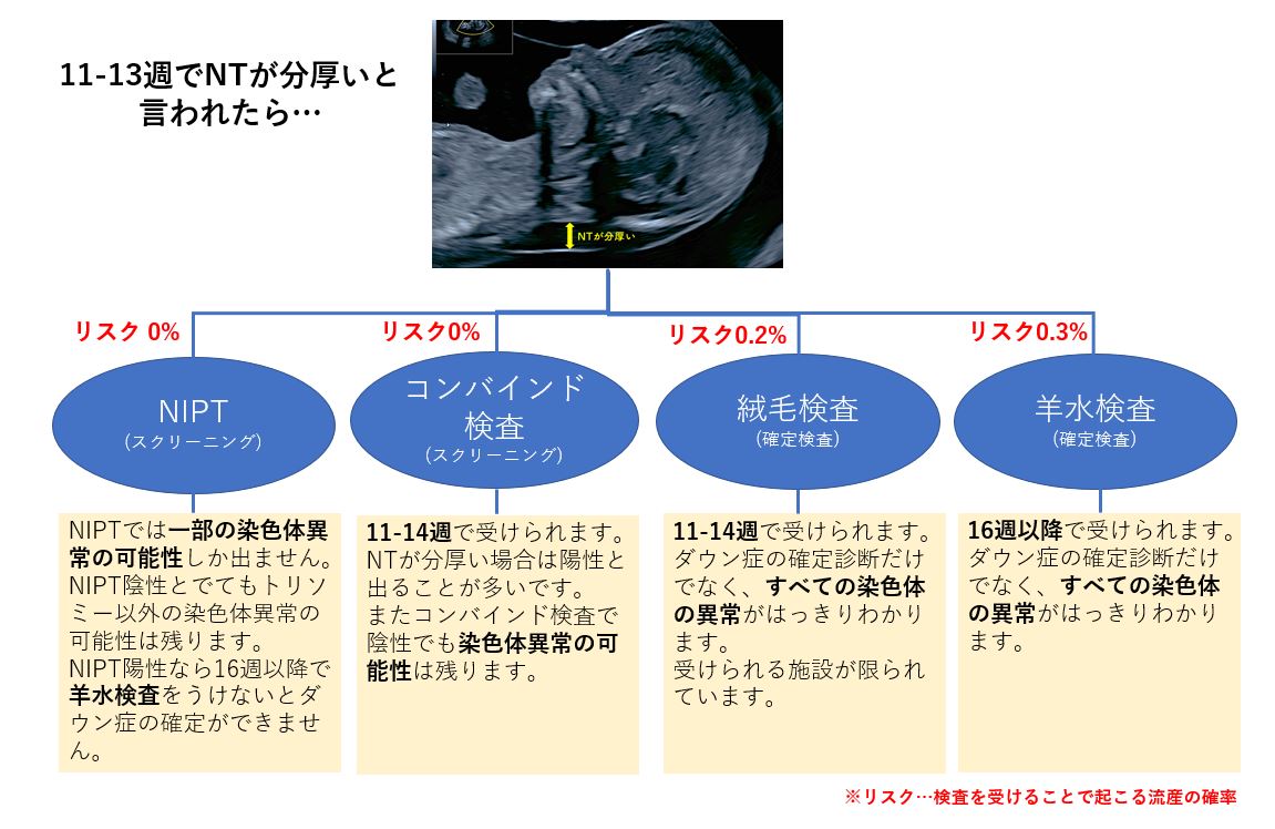 出生前診断の流れの解説